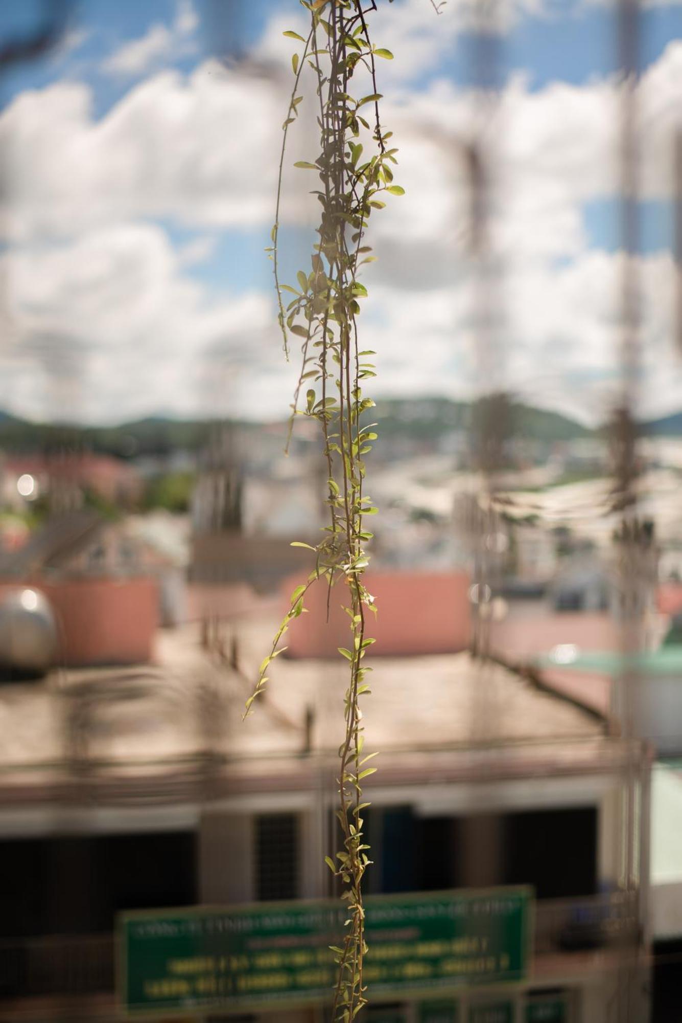 Le Soleil Boutique Hotel Da Lat Esterno foto